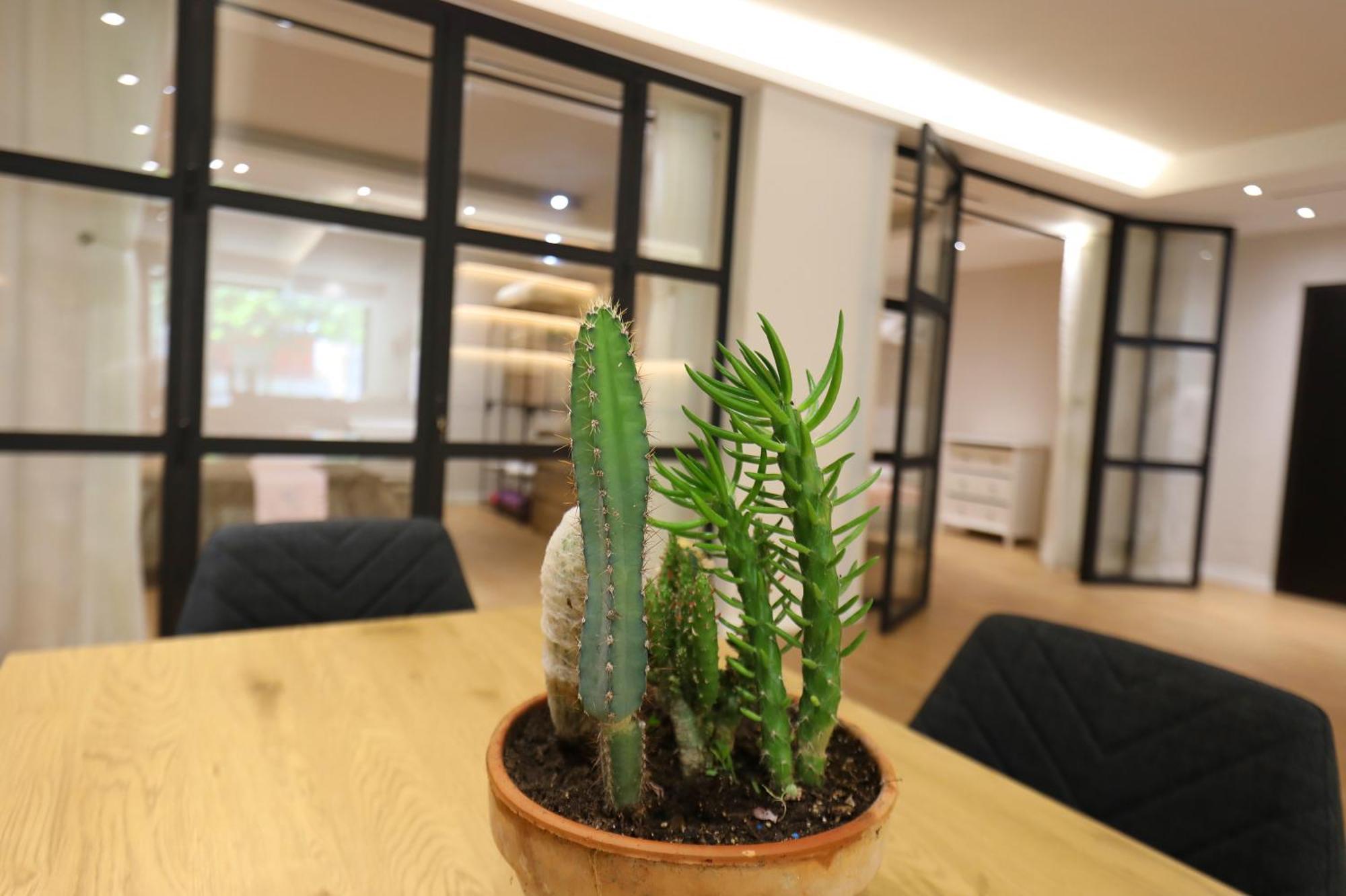 Amantia Apartment Vlorë Eksteriør billede